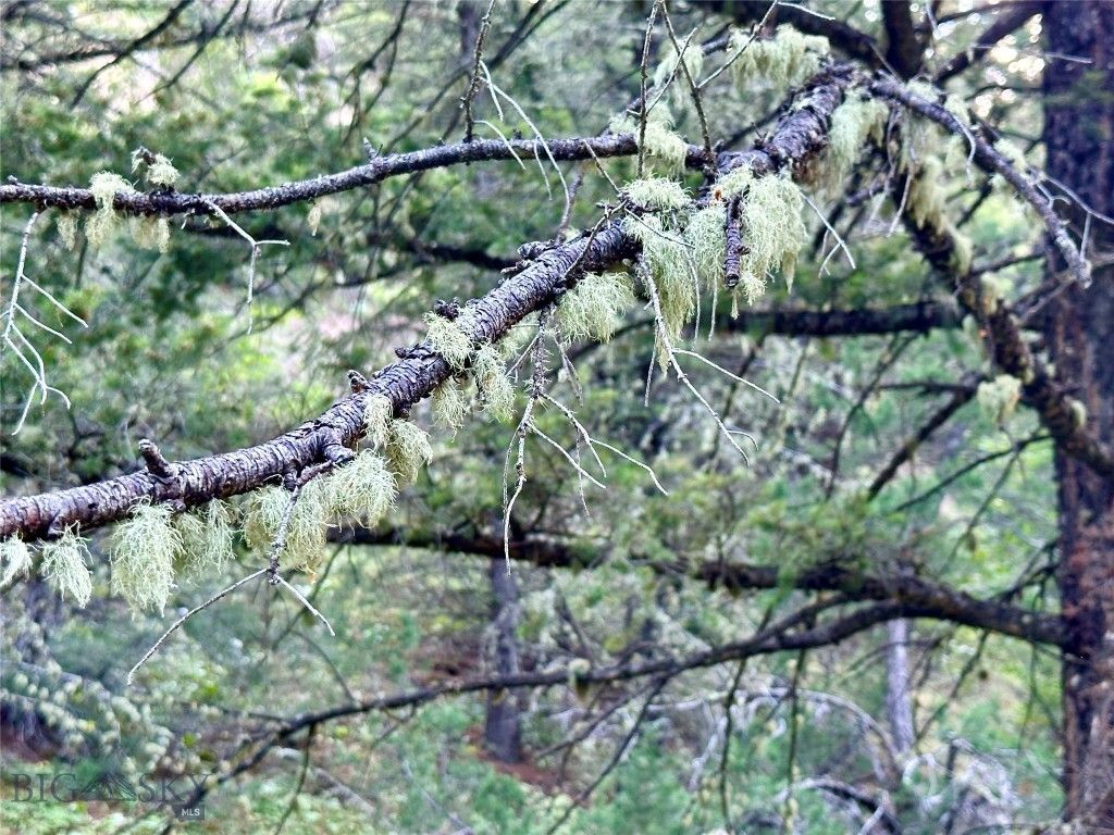 Lot 31 tbd Round Pole Drive, Three Forks, MT 59752 photo 13