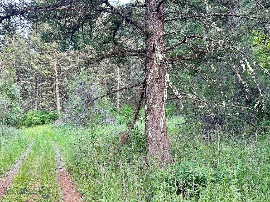 Lot 31 tbd Round Pole Drive, Three Forks, MT 59752 photo 14