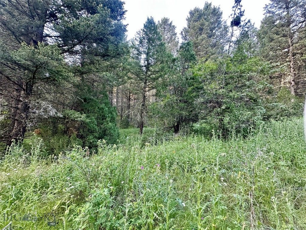 Lot 31 tbd Round Pole Drive, Three Forks, MT 59752 photo 15