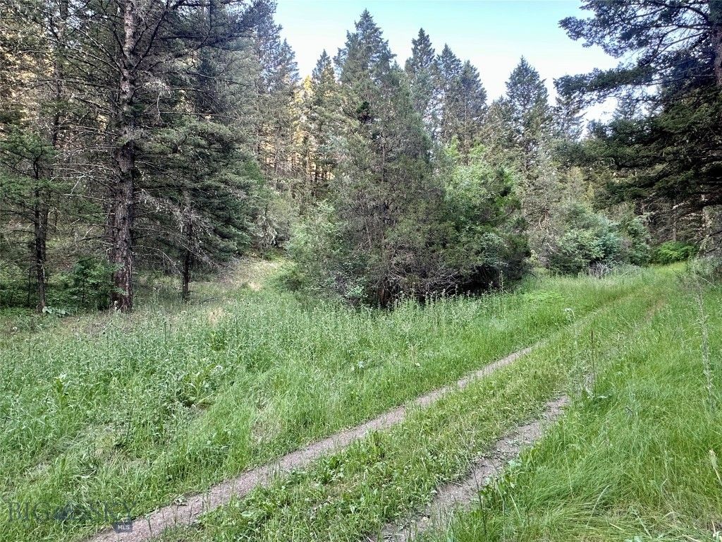 Lot 31 tbd Round Pole Drive, Three Forks, MT 59752 photo 16
