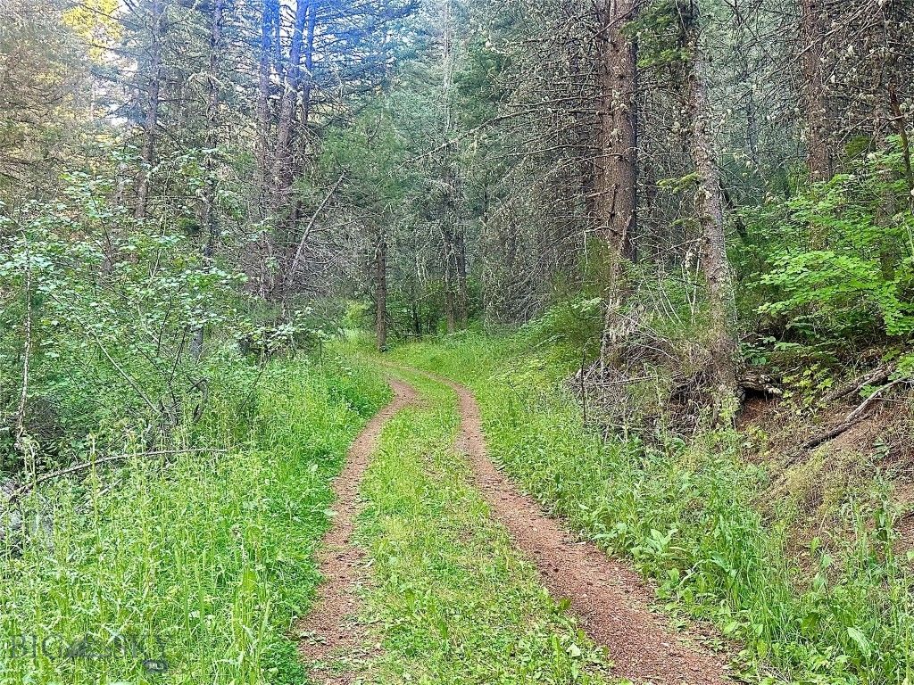 Lot 31 tbd Round Pole Drive, Three Forks, MT 59752 photo 3
