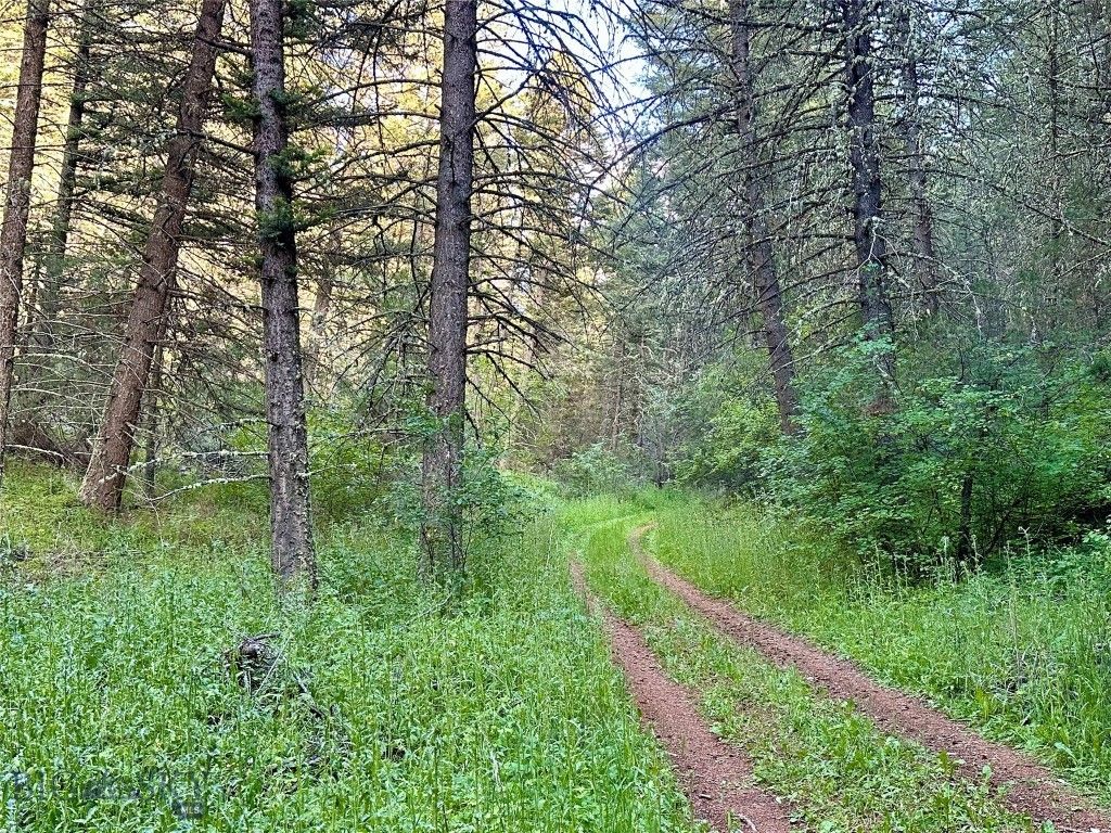 Lot 31 tbd Round Pole Drive, Three Forks, MT 59752 photo 4