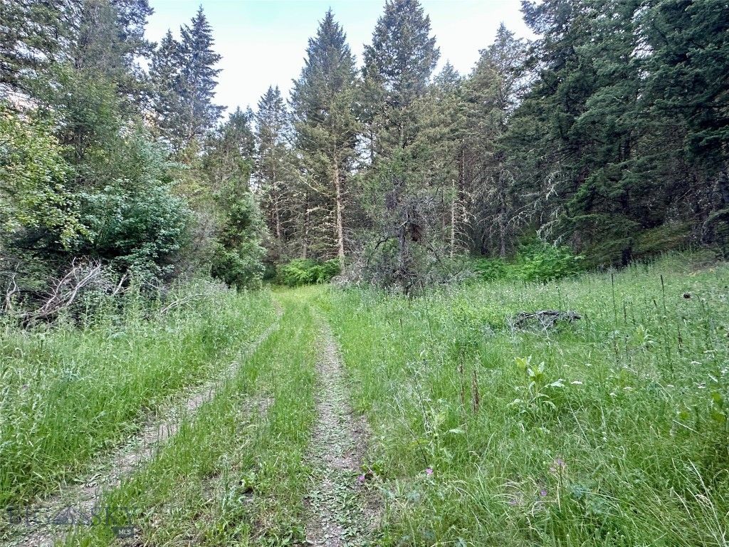 Lot 31 tbd Round Pole Drive, Three Forks, MT 59752 photo 5