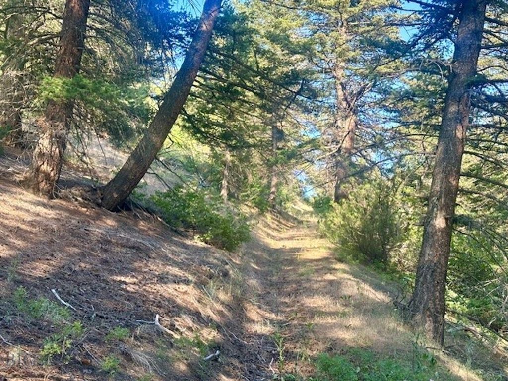 Lot 31 tbd Round Pole Drive, Three Forks, MT 59752 photo 6