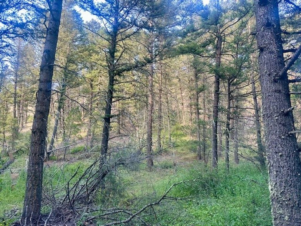 Lot 31 tbd Round Pole Drive, Three Forks, MT 59752 photo 7