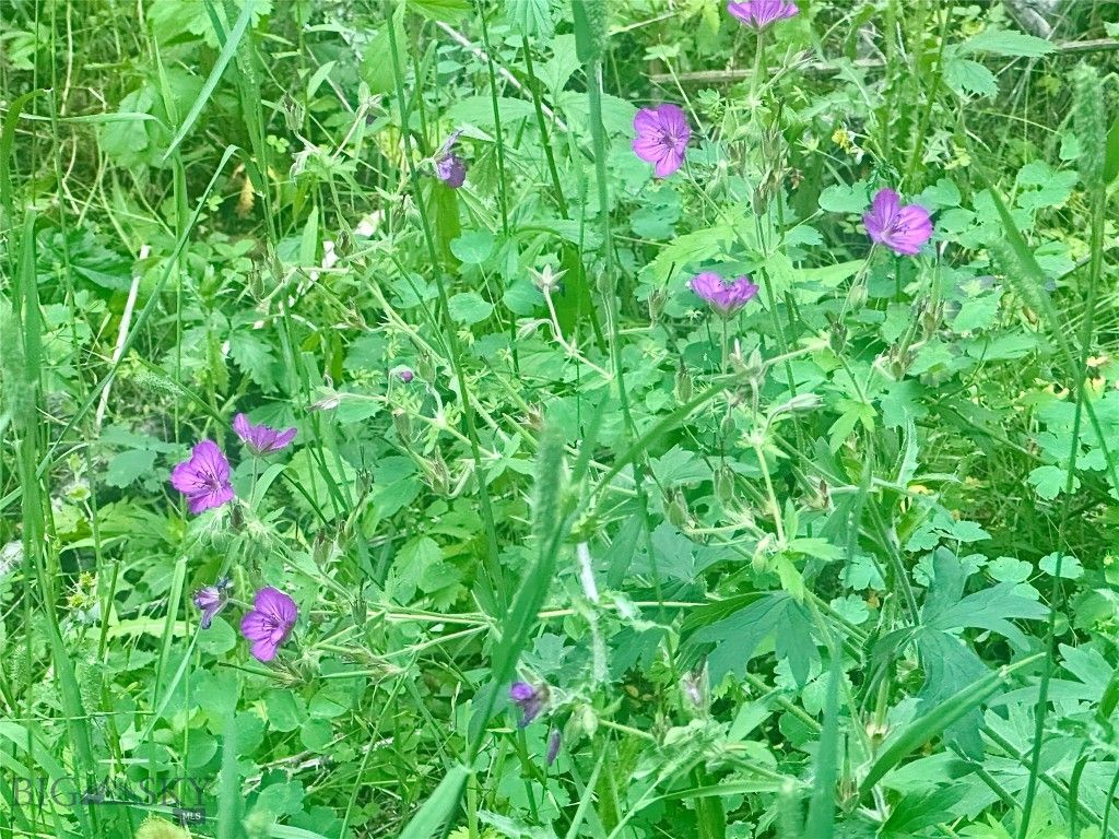 Lot 31 tbd Round Pole Drive, Three Forks, MT 59752 photo 8