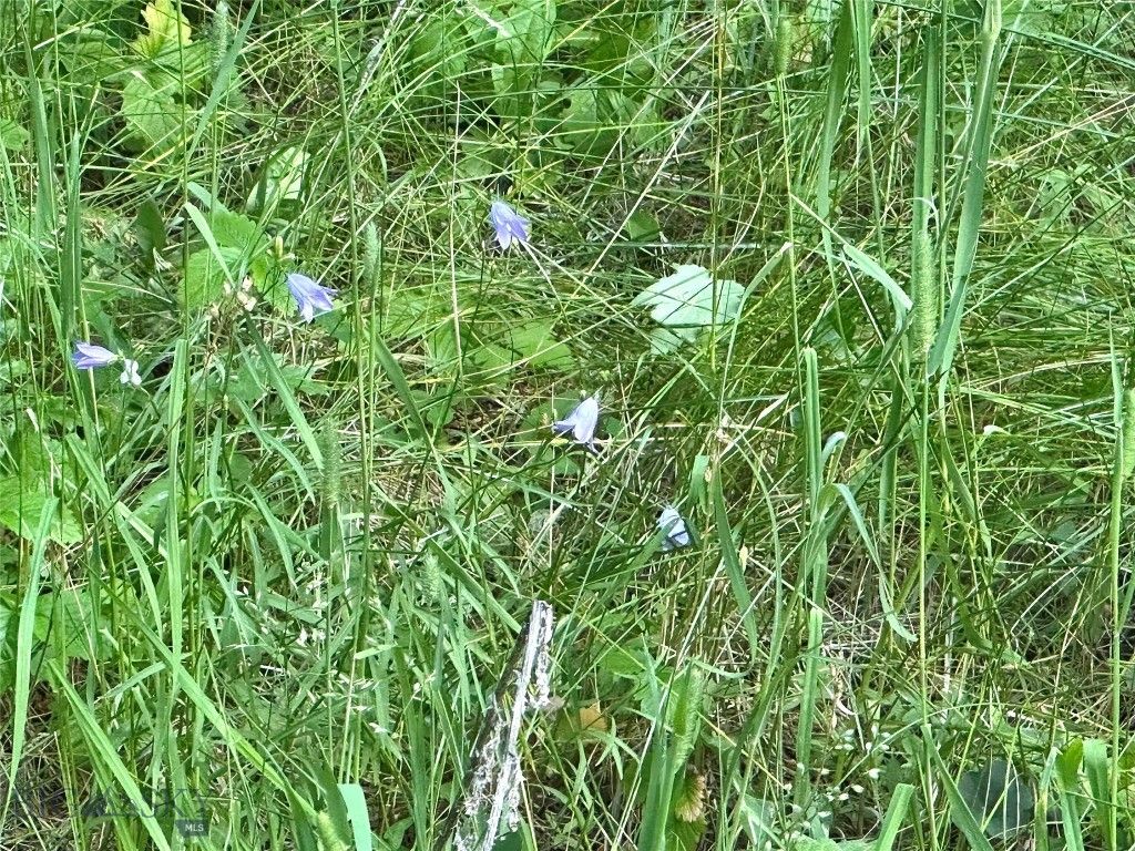 Lot 31 tbd Round Pole Drive, Three Forks, MT 59752 photo 9