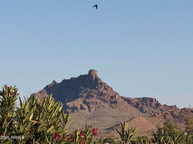 11067 N VALLEY Drive, Fountain Hills, AZ 85268
