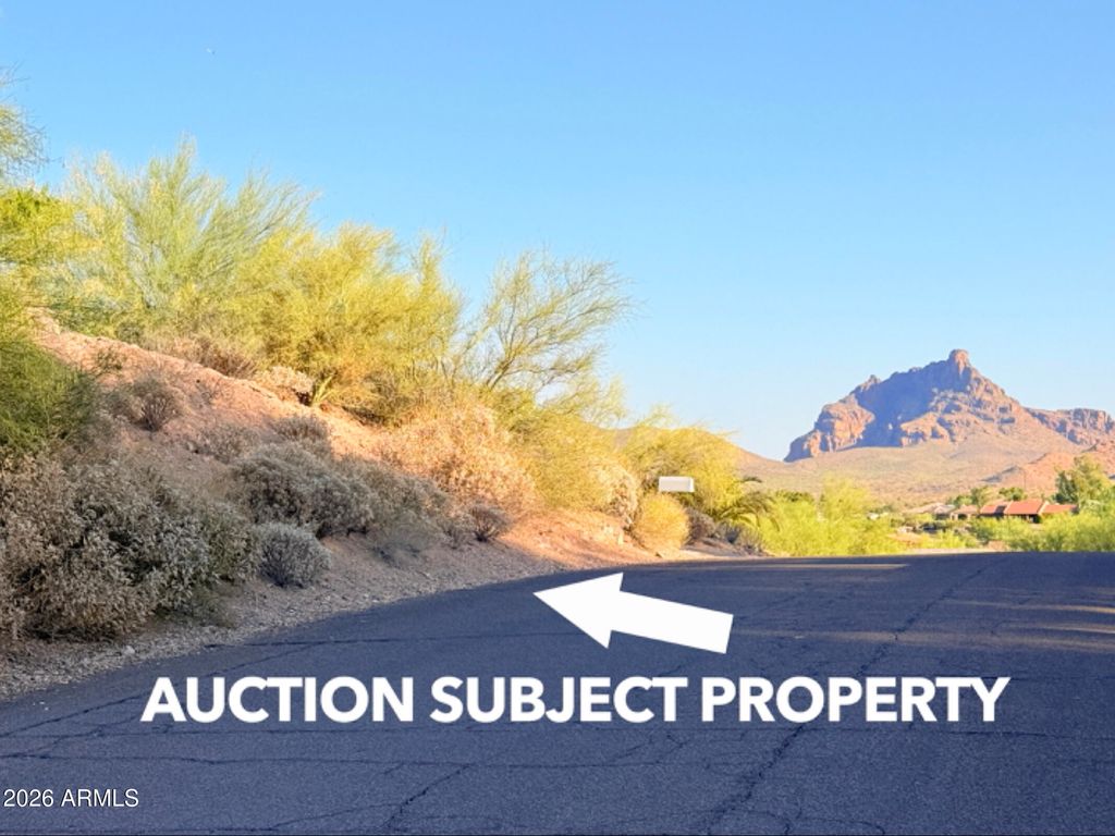 11067 N VALLEY Drive, Fountain Hills, AZ 85268