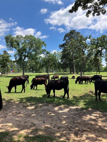 22349 Fm 359 Road, Hempstead, TX 77445