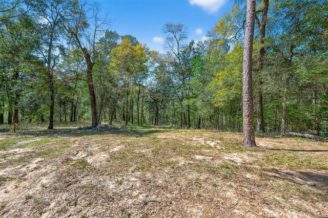 154 Lakeview Drive E, Livingston, TX 77351