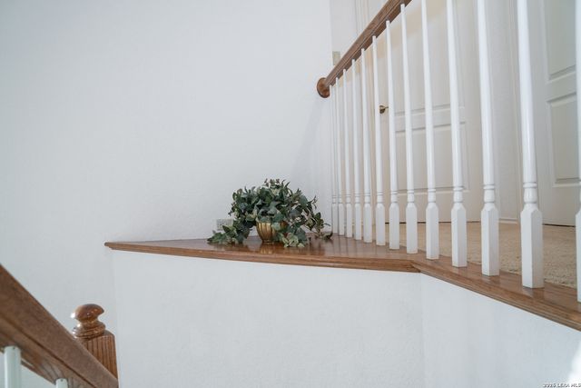 2941 Bent Tree, Schertz, TX 78154