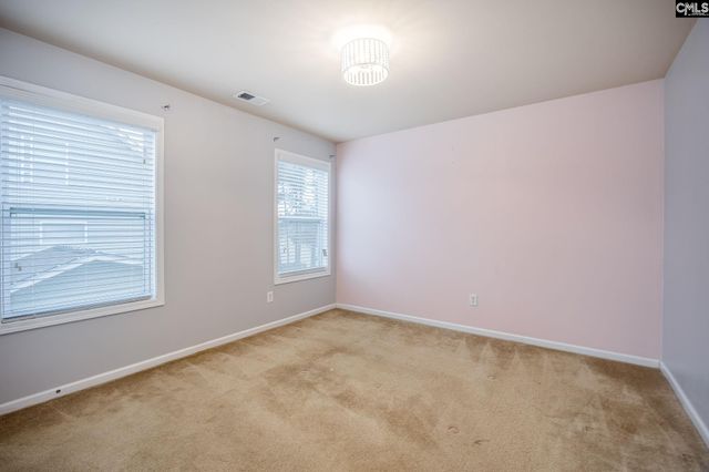 313 Millhouse Lane, Lexington, SC 29072