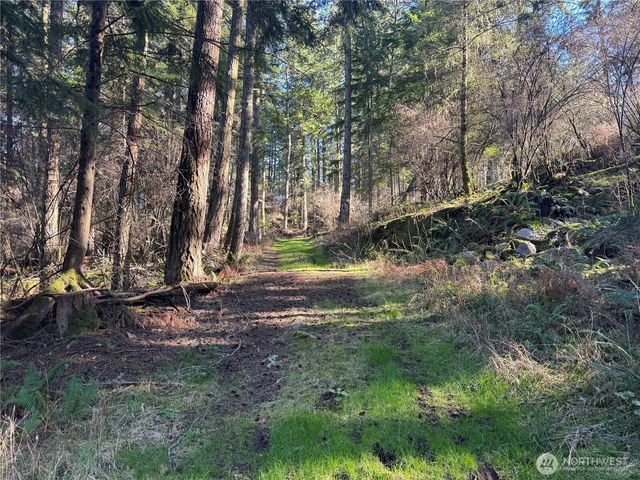 1407 Obstruction Pass Road, Orcas Island, WA 98245