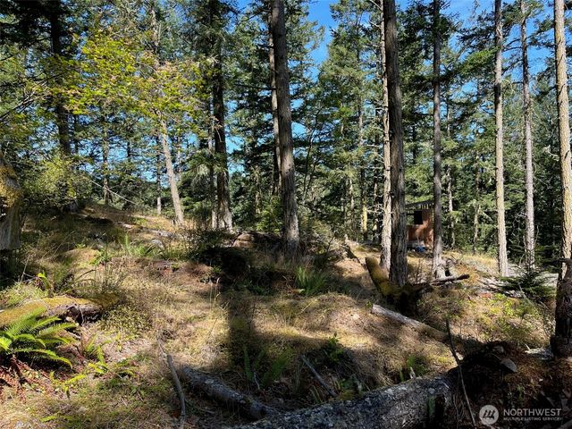 1407 Obstruction Pass Road, Orcas Island, WA 98245