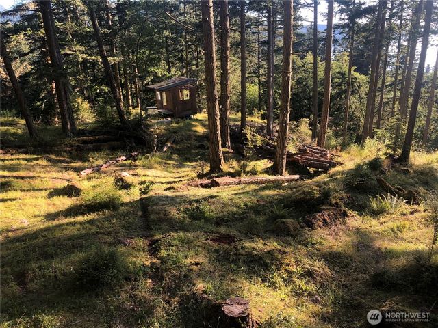 1407 Obstruction Pass Road, Orcas Island, WA 98245