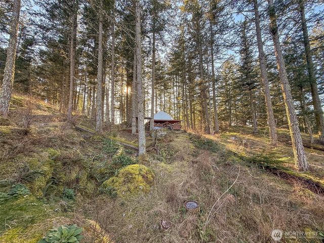 1407 Obstruction Pass Road, Orcas Island, WA 98245