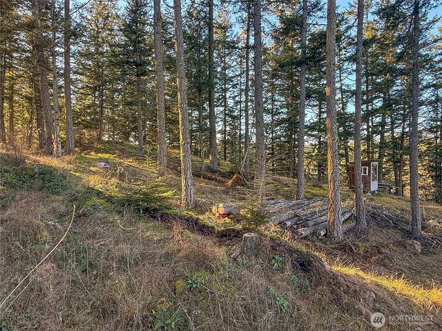 1407 Obstruction Pass Road, Orcas Island, WA 98245