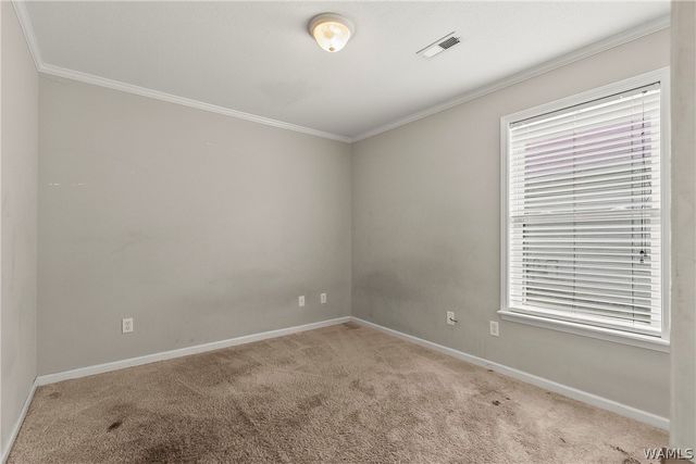 1992 Lenox, Tuscaloosa, AL 35405