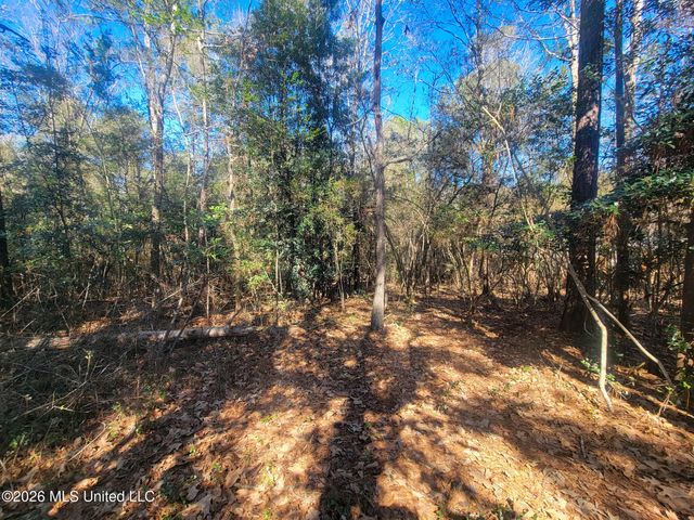97165 Kapalama Drive, Diamondhead, MS 39525