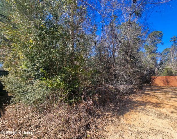97165 Kapalama Drive, Diamondhead, MS 39525