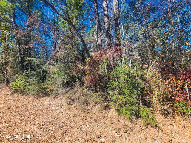 97165 Kapalama Drive, Diamondhead, MS 39525