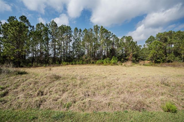 11031 ARROWTREE BOULEVARD, Clermont, FL 34715