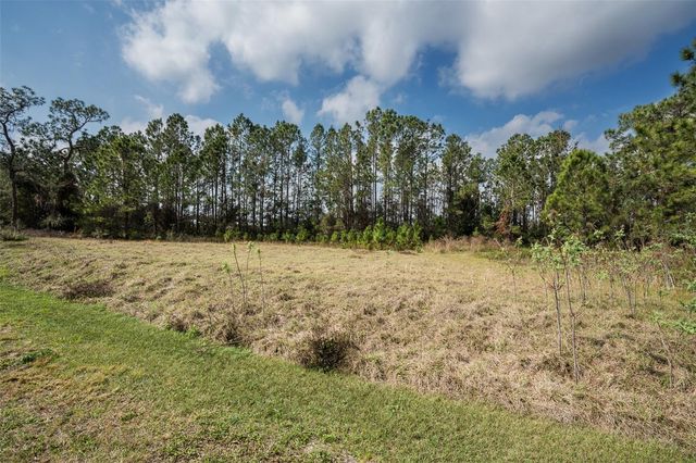 11031 ARROWTREE BOULEVARD, Clermont, FL 34715