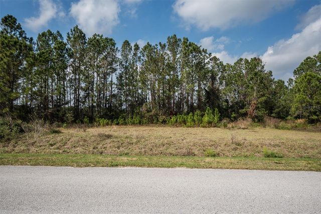 11031 ARROWTREE BOULEVARD, Clermont, FL 34715
