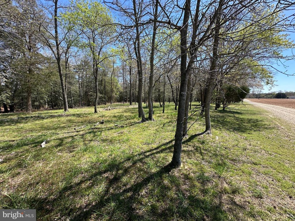 Image 51 of property listing at 5113 RIVER RD, Hurlock, MD 21643