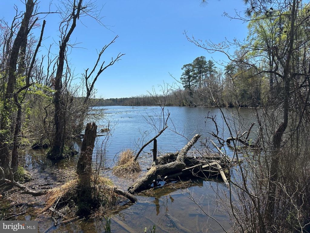 Image 9 of property listing at 5113 RIVER RD, Hurlock, MD 21643