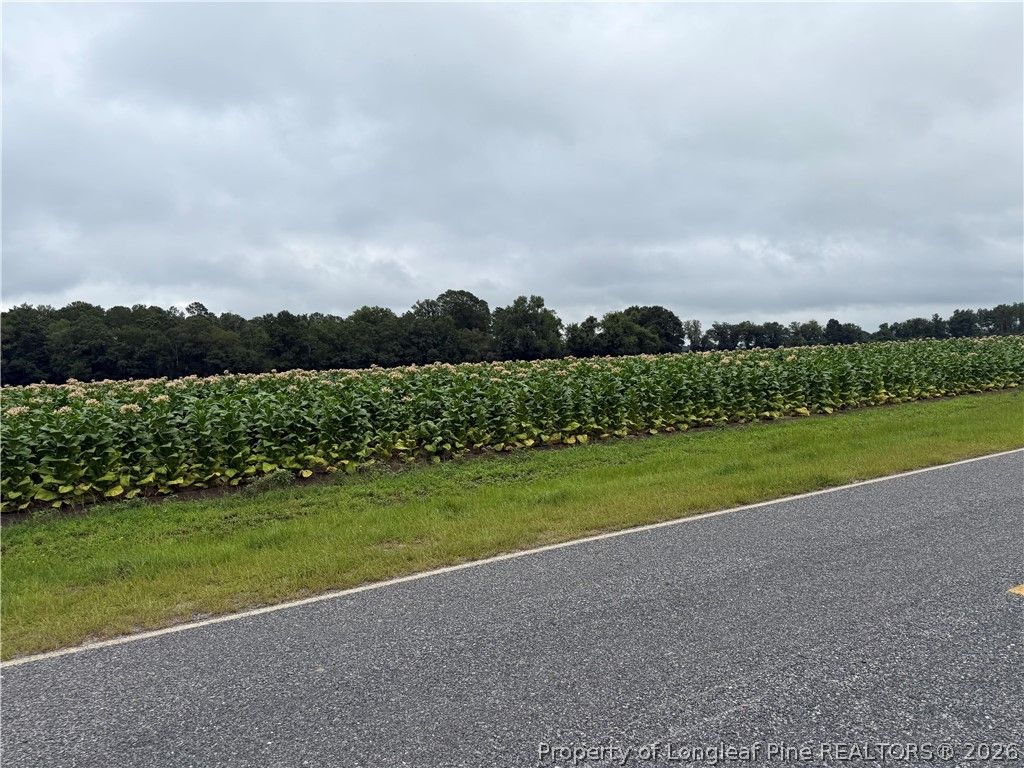 584 Red Oak Farm Road, Tar Heel, NC 28392 — photo 2