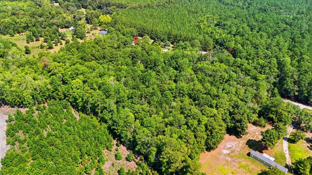 315 Tundra Lane, Ridgeville, SC 29472