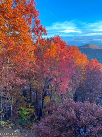 226 Moon Ridge Drive, Dillard, GA 30537