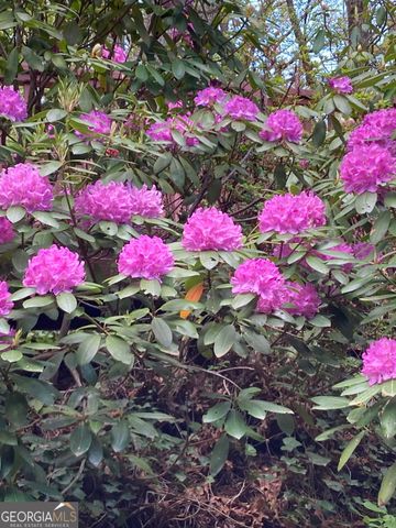 226 Moon Ridge Drive, Dillard, GA 30537