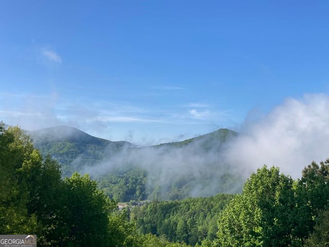 226 Moon Ridge Drive, Dillard, GA 30537