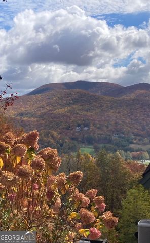 226 Moon Ridge Drive, Dillard, GA 30537