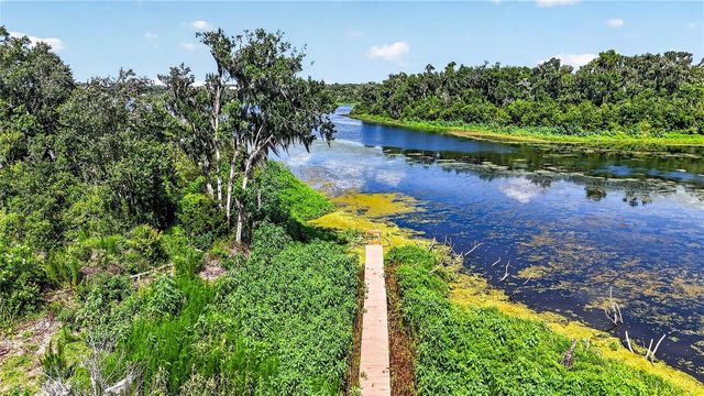17265 MEADOW BLUFF VIEW, Dade City, FL 33523