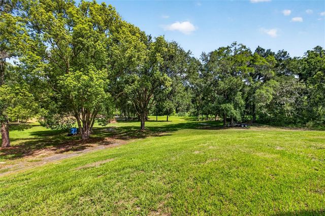 17265 MEADOW BLUFF VIEW, Dade City, FL 33523