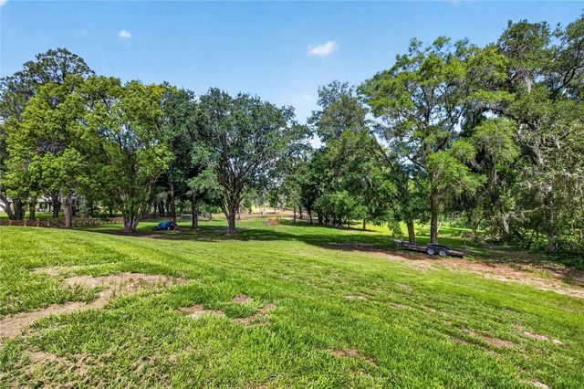 17265 MEADOW BLUFF VIEW, Dade City, FL 33523
