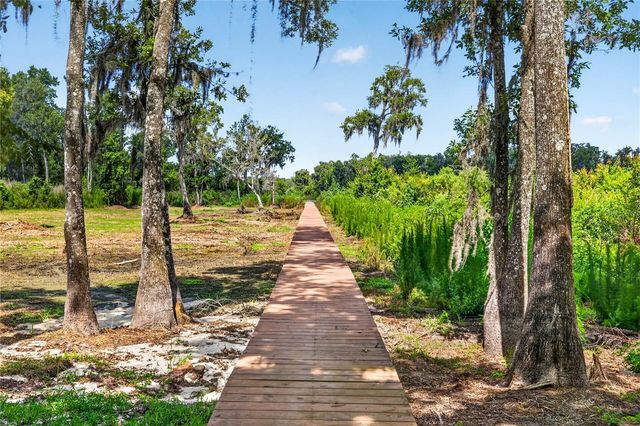 17265 MEADOW BLUFF VIEW, Dade City, FL 33523