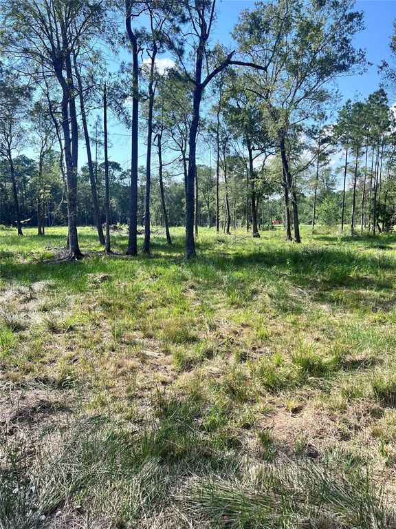 257 Rhonda Rosa Road, Wallisville, TX 77597