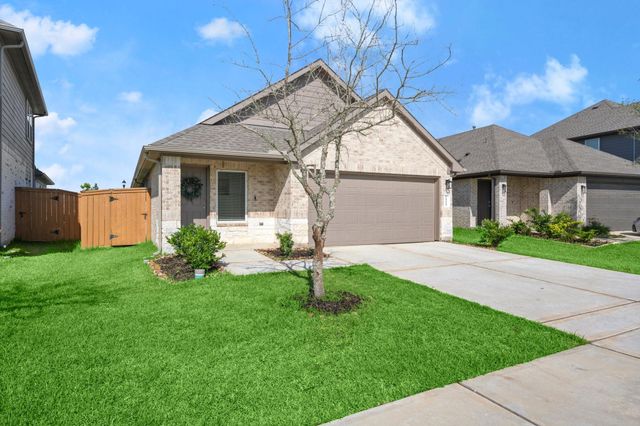 20010 Sienna Green Drive, Hockley, TX 77447