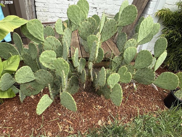 10709 Se 11TH Cir, Vancouver, WA 98664