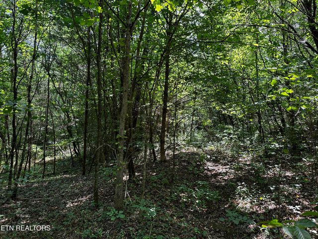 Blockhouse Rd, Maryville, TN 37803