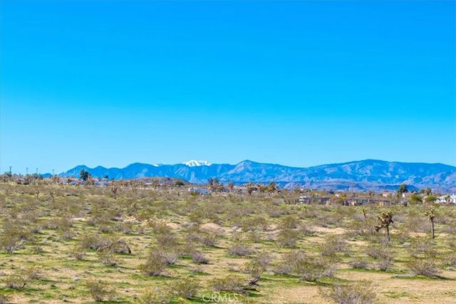 670 Ducor Avenue, Landers, CA 92285