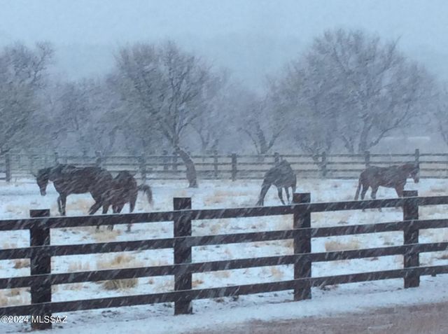 51 Redrock Drive, Patagonia, AZ 85624