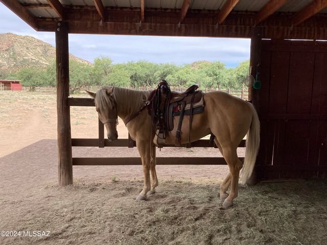 51 Redrock Drive, Patagonia, AZ 85624