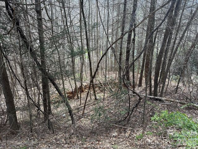 0 Tuckaway Ridge Drive, Hendersonville, NC 28792