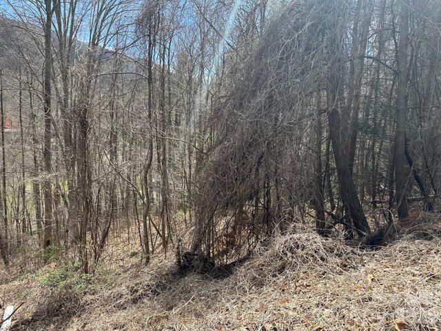 0 Tuckaway Ridge Drive, Hendersonville, NC 28792